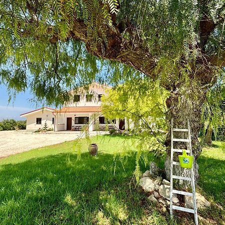 Villa Andrea San Lorenzo Noto Kültér fotó